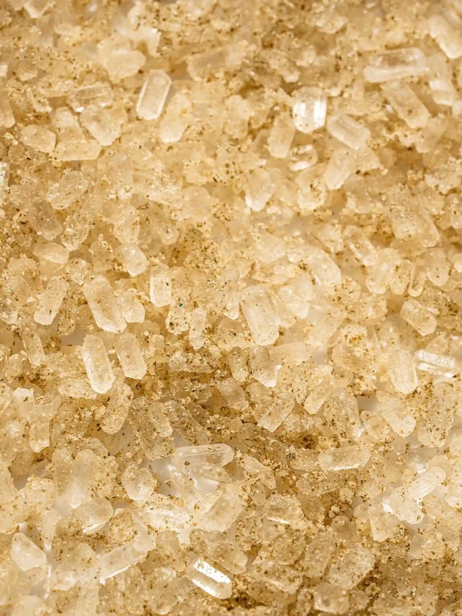Sea Soak - Image 3