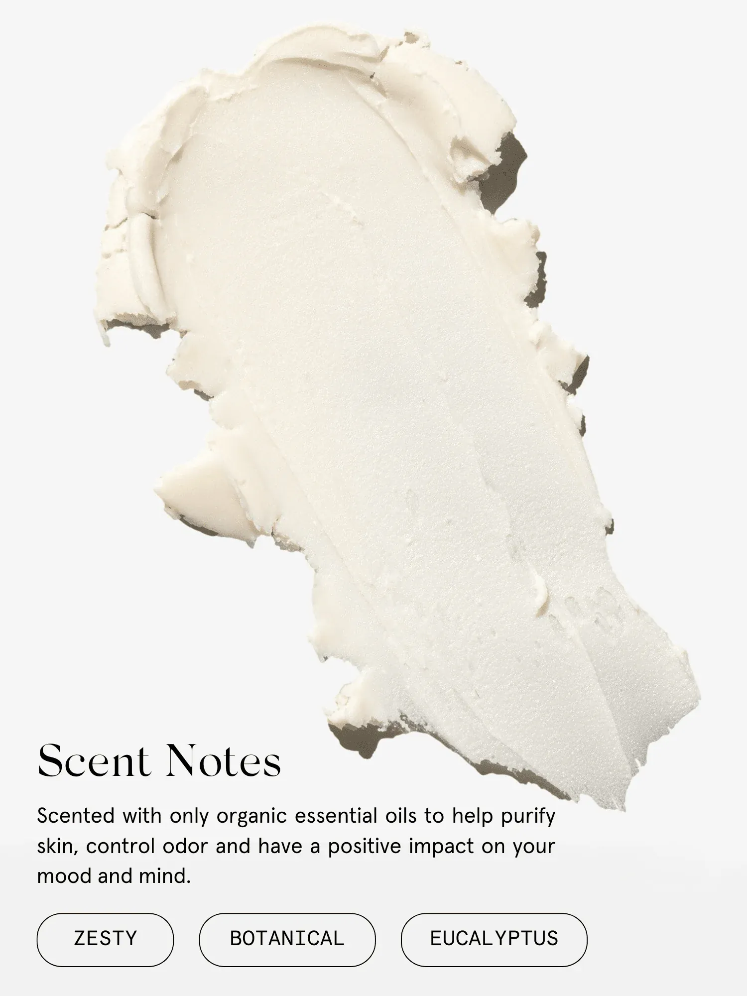 Bergamot + Eucalyptus Deodorant - Image 3