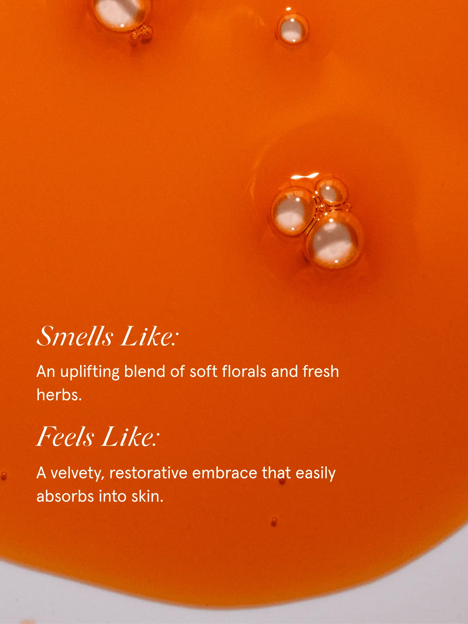 Plumping Serum - Image 5